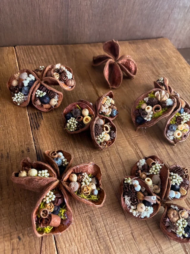 .
ランドロータスのアレンジメント

ランドロータスはインド原産の落葉中低木で、
お花のような形の木の実。
形が一つ一つ違っていてとても個性的です。
aika

⚘出店イベント

𓍯KOZOJI ICONIC MARKET
日時:2025年10月5日（日）
11:00〜16:00
場所: 愛知県春日井市中央台2丁目5
アピタ高蔵寺店屋上パーキング
(@kozoji.iconic.market )

𓍯たじみ陶器まつり
クラフトマン通り
日時:2025年10月12日（日）•13日(祝)
8:30～17:30
多治見市旭ヶ丘10-6
多治見美濃焼卸センター周辺
(@tajimi_toukimatsuri )

𓍯おとぎの森deサクラビmarché
日時:2025年11月9日（日）
【荒天時は11月23日（日）】
10:00〜15:00
場所:河跡湖公園（かせきここうえん）
岐阜県各務原市川島河田町292
（@sakurabbit620 ）

#木の実雑貨
#木の実アレンジ
#ランドロータス