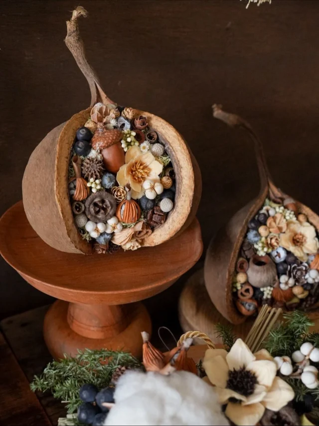 .
縁起が良いとされるブッダナッツ🥜

新しい年を迎える装飾に、
ブッダナッツはいかがですかー✨

ブッダナッツはインドからの輸入品です。
自然物なのでその時々で大きさが違いますが、
今はちょうど大きくて立派なものが届いています🙌

ブッダナッツとは、インドやミャンマーなどに自生する
木の実の果皮です。
お釈迦様の頭の形に似ていることからその名前が付けられました。
縁起物の意味合いのある木の実で、
「幸せを呼ぶ実」とも呼ばれています。

aika

.
.
.

⚘出店イベント

𓍯おとぎの森deサクラビmarché
※開催日程が変更となりました。
日時:2025年11月23日（日）
10:00〜15:00
場所:河跡湖公園（かせきここうえん）
岐阜県各務原市川島河田町292
（@sakurabbit620 さま）

𓍯森人の庭展
日時:2025年11月29日（土）
 10:00〜17:00
　　 2025年11月30日(日)
 10:00〜16:00
場所: ガーデンアンドカフェ アルキペラゴ
愛知県長久手市真行田2780
(@archi.pel.ago さま)
（@moribitononiwa さま）
※入場料　500円
(中学生未満は無料)

𓍯森のクリスマスマーケット
日時:2025年12月6日（土）&7日(日)
10:00〜17:00
場所:岐阜県岐阜市橋本町１丁目１０−１
JR岐阜駅直結アクティブG
2F ふれあい広場

(@morixmas_gifu さま)

𓍯旅する楽園
日時:2025年12月13日（土）
12:00〜20:00
  2025年12月14日（日）
10:00〜16:00
場所:アピタ各務原店
（ @tabisuru_rakuen ）

#木の実アレンジ
#木の実雑貨
#ブッダナッツ
#ナチュラルインテリア