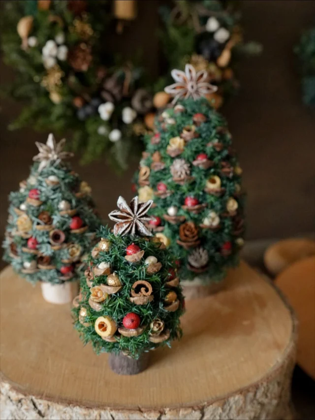 new🎄

松ぼっくりツリーにも
定番の「赤」を加えた
新色をお作りしました🔔

赤が入ると一気に
クリスマス気分が上がって
心ときめきますね♡

こちらの松ぼっくりツリーたちは
サクラビmarchéさまにお持ちします！

Chiemi

.
.
.

⚘出店イベント

𓍯おとぎの森deサクラビmarché
※開催日程が変更となりました。
日時:2025年11月23日（日）
10:00〜15:00
場所:河跡湖公園（かせきここうえん）
岐阜県各務原市川島河田町292
（@sakurabbit620 さま）

𓍯森人の庭展
日時:2025年11月29日（土）
 10:00〜17:00
　　 2025年11月30日(日)
 10:00〜16:00
場所: ガーデンアンドカフェ アルキペラゴ
愛知県長久手市真行田2780
(@archi.pel.ago さま)
（@moribitononiwa さま）

𓍯森のクリスマスマーケット

日時:2025年12月6日（土）&7日(日)
場所:岐阜県岐阜市橋本町１丁目１０−１
JR岐阜駅直結アクティブG
2F ふれあい広場
10:00〜17:00
(@morixmas_gifu さま)

𓍯coming soon

日時:2025年12月13日（土）&14日(日)
場所:岐阜県各務原市

#松ぼっくりツリー
#木の実のアレンジ 
#ナチュラルインテリア 
#ナチュラルクリスマス