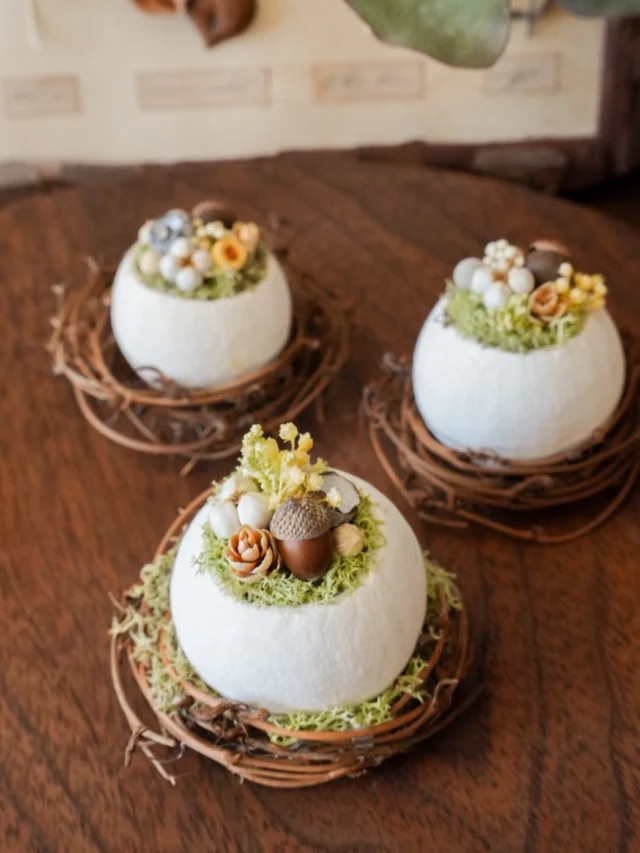 .
鳥の巣ベルカップ🪺

柑橘系のベラニフルーツを
くり抜いた白いカップは、
輸入されてる花材のベルカップです。

とても軽くて、まるで卵の殻のよう🥚

ベルカップに蔓を合わせて、
鳥の巣みたいにアレンジメントをしました。

aika
.
.
.

⚘出店イベント

𓍯手仕事三星市
日時:2026年4月12日（日）
10:00-15:00
場所：三星毛糸（羽島市正木町不破一色898）
(@mitsuboshi1887 さま)

𓍯サンデービルヂングマーケット
日時:2026年4月19日(日)
11:00~16:00
場所:岐阜県岐阜市柳ヶ瀬商店街
( @sundaybldg.mkt さま)

𓍯余白マルシェ
日時:2026年4月29日(水)
10:00〜16:00
場所:せきてらす
岐阜県関市平和通４丁目12番地1
( @yohaku.marche さま)

𓍯杜の宮市
日時:2026年5月3日（日）
10:00〜16:00
場所:真清田神社境内　等
愛知県一宮市真清田1丁目2番1号
（ @morinomiyaichi ）

𓍯ヒサヤマーケット
日時:2026年5月10日（日）
11:00〜15:00
場所: Hisaya-odori Park zone1
  シバフヒロバ
名古屋市中区丸の内3丁目6
（ @hisayamarket_official ）

𓍯セキ日和
日時:2026年5月30日（土）
10:00〜16:00
場所: 関市本町通り3丁目～8丁目　等
（ @sekibiyori ）

#ベルカップ
#木の実雑貨
#ナチュラル雑貨