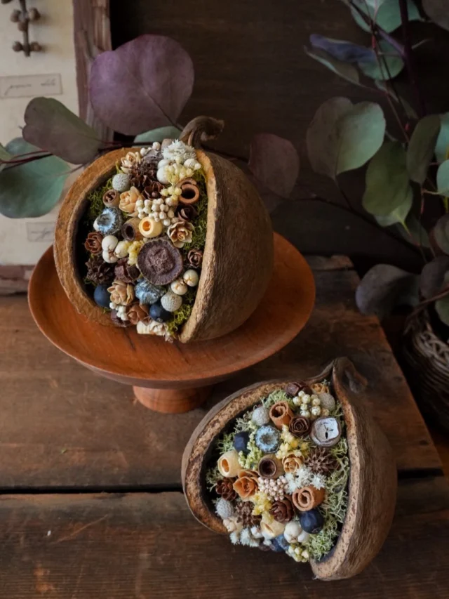 ブッダナッツ

インドやミャンマーが原産の木の実、
ブッダナッツ🥜

仏陀の頭の形に似てるということから、
その名がつきました。

幸せを呼び込んでくれる木の実として
人気の高い花材です。

海外から輸入の木の実は自然物なので、
その時々で大きさや形が全然違います。

見た目の好みや、
手に持った時にしっくりくるものを
選ばられるとお気に入りの一品が
見つかると思います😉

aika
.
.
.

⚘出店イベント

𓍯手仕事三星市
日時:2026年4月12日（日）
10:00-15:00
場所：三星毛糸（羽島市正木町不破一色898）
(@mitsuboshi1887 さま)

𓍯サンデービルヂングマーケット
日時:2026年4月19日(日)
11:00~16:00
場所:岐阜県岐阜市柳ヶ瀬商店街
( @sundaybldg.mkt さま)

𓍯余白マルシェ
日時:2026年4月29日(水)
10:00〜16:00
場所:せきてらす
岐阜県関市平和通４丁目12番地1
( @yohaku.marche さま)

𓍯杜の宮市
日時:2026年5月3日（日）
10:00〜16:00
場所:真清田神社境内　等
愛知県一宮市真清田1丁目2番1号
（ @morinomiyaichi ）

𓍯ヒサヤマーケット
日時:2026年5月10日（日）
11:00〜15:00
場所: Hisaya-odori Park zone1
  シバフヒロバ
名古屋市中区丸の内3丁目6
（ @hisayamarket_official ）

𓍯セキ日和
日時:2026年5月30日（土）
10:00〜16:00
場所: 関市本町通り3丁目～8丁目　等
（ @sekibiyori ）

#木の実雑貨
#ブッダナッツ