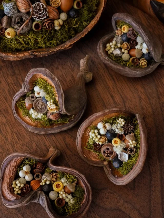 .
バンガルボッド

インド産の可愛い木の実。
果皮の分厚さがブッダナッツと似てるけど、
大きさは小ぶり。

しかも形が1つ1つ違っていて、
とっても個性があります😊

お気に入りの形を
ぜひ見つけてみてください。

aika

.
.
.
⚘出店イベント

𓍯手仕事三星市
日時:2026年4月12日（日）
10:00-15:00
場所：三星毛糸（羽島市正木町不破一色898）
(@mitsuboshi1887 さま)

𓍯サンデービルヂングマーケット
日時:2026年4月19日(日)
11:00~16:00
場所:岐阜県岐阜市柳ヶ瀬商店街
( @sundaybldg.mkt さま)

𓍯余白マルシェ
日時:2026年4月29日(水)
10:00〜16:00
場所:せきてらす
岐阜県関市平和通４丁目12番地1
( @yohaku.marche さま)

𓍯杜の宮市
日時:2026年5月3日（日）
10:00〜16:00
場所:真清田神社境内　等
愛知県一宮市真清田1丁目2番1号
（ @morinomiyaichi ）

𓍯ヒサヤマーケット
日時:2026年5月10日（日）
11:00〜15:00
場所: Hisaya-odori Park zone1
  シバフヒロバ
名古屋市中区丸の内3丁目6
（ @hisayamarket_official ）

𓍯セキ日和
日時:2026年5月30日（土）
10:00〜16:00
場所: 関市本町通り3丁目～8丁目　等
（ @sekibiyori ）

#木の実雑貨
#バンガルボッド
#ナチュラル雑貨