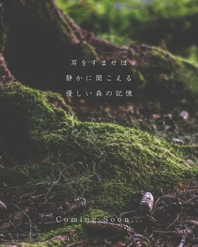 .

耳をすませば、
静かに聞こえる、優しい森の記憶。

森の奥から届いた、
小さな物語が始まります。

詳細は明日、
この場所でお知らせします。

どうぞ、お楽しみに。

Aika&Chiemi